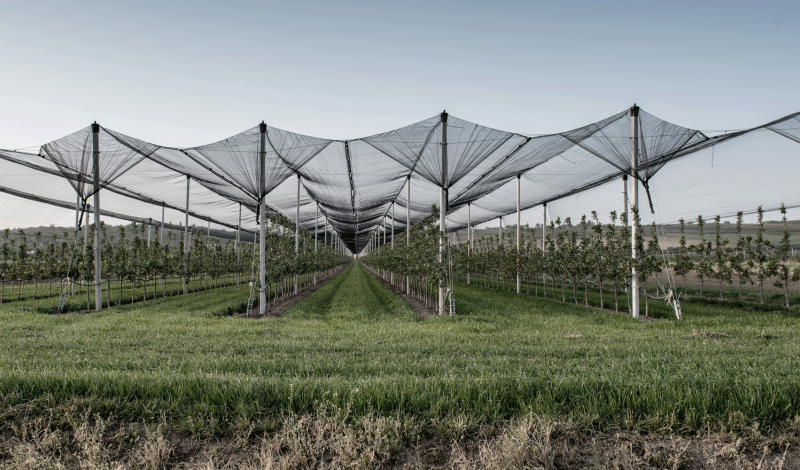 Protect and safeguard vineyards and orchards with Cablesteel products